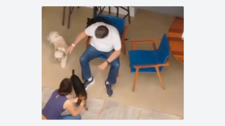 Bolsonaro es captado jugando con sus perros tras recibir prisión domiciliaria (VIDEO)