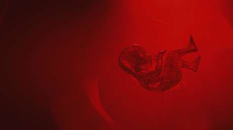 Crean máquina que podría dar inicio a la gestación fuera del cuerpo humano