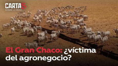 El Gran Chaco: ¿víctima del agronegocio?
