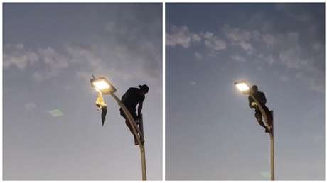 VIDEO: Joven arriesga su vida para rescatar una gaviota atrapada