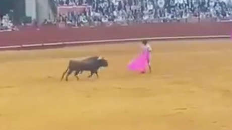 VIDEO: famoso torero español sufre una aparatosa cornada en una feria