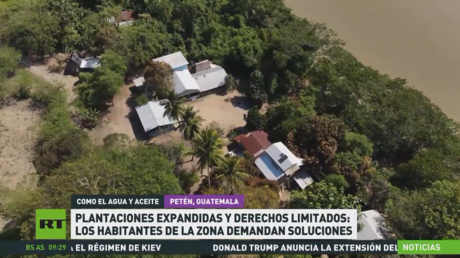 Plantaciones expandidas: guatemaltecos demandan soluciones