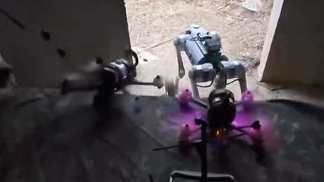 China muestra perros robots con armas sónicas en plena acción (VIDEO)