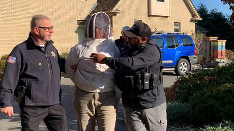 Mujer libera a miles de abejas contra policías para salvar a un amigo del desalojo