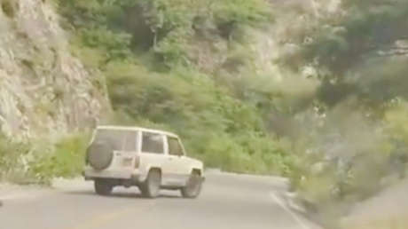VIDEO: Conductor atropella intencionalmente a un venado y ahora podría ir a prisión