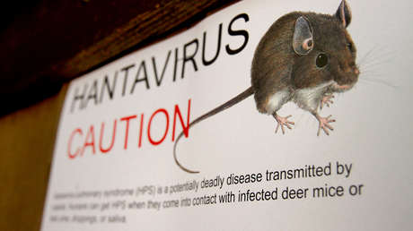 Política da tres pistas para supuestamente combatir el hantavirus: ¿cuáles son?