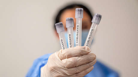 Ni covid ni gripe: OMS aclara cómo se propaga el hantavirus