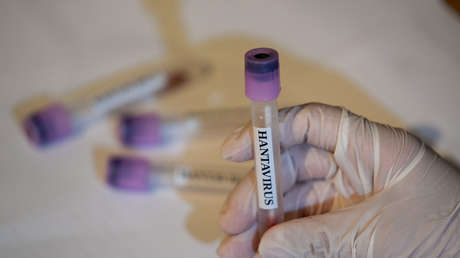 Francia confirma su primer caso positivo de hantavirus