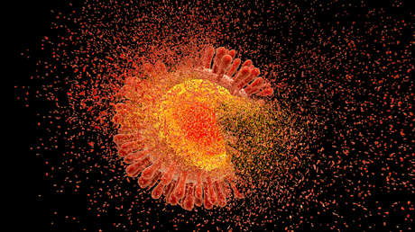 Imagen ilustrativa