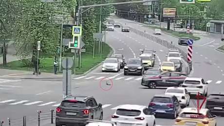 VIDEO: Tierno gesto de unos agentes para que unos patos crucen una carretera