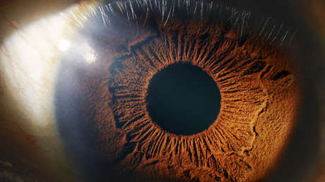 Imagen ilustrativa