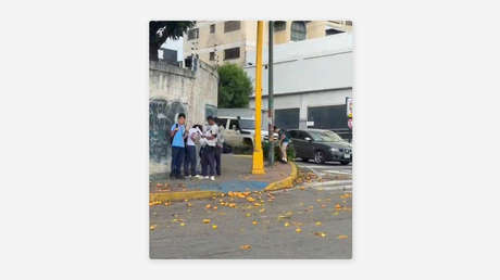 'Lluvia de mangos' sacude a una capital suramericana (VIDEO)