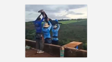 La insólita declaración de quienes lanzaron sin cuerda a una joven que hacía 'puenting' en Brasil