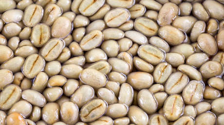 Científicas colombianas convierten el mayor dolor de cabeza de los caficultores en un superalimento