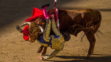 Torero Tomás Angulo, en estado "muy grave" tras recibir dos cornadas (FUERTE VIDEO)