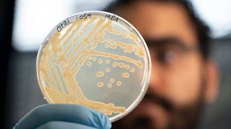 Hallan 'signos de vida' dentro de una momia de 5.300 años de antigüedad