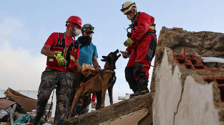 Perros se convierten en pieza clave para el rescate de supervivientes tras los sismos en Venezuela