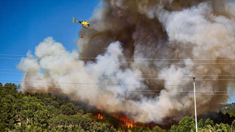 Europa en llamas: devastadores incendios azotan el continente (IMPACTANTES IMÁGENES)
