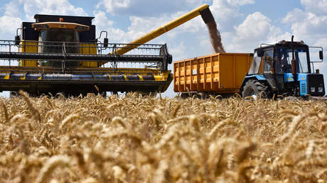 Exportaciones de grano: el alto precio que paga Kiev por sus ataques a Rusia