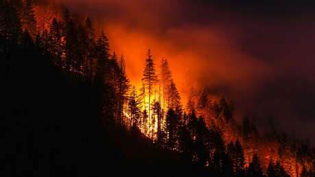 Trump retoma su amenaza de enviar una factura a Canadá por el humo de los incendios forestales