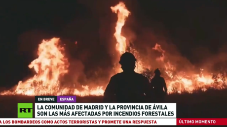 La Comunidad de Madrid y la provincia de Ávila son las más afectadas por los incendios forestales en España