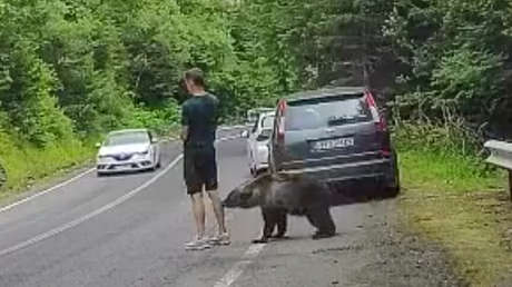 La insólita reacción de un hombre al ser mordido por un oso (VIDEO)