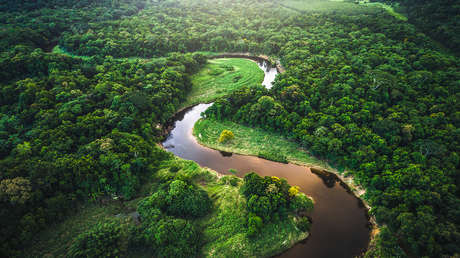 Hallan cientos de estructuras que "transforman por completo" lo que se creía de la Amazonía
