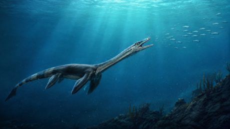 Un fósil de 245 millones de años de un reptil marino viene con un 'secreto' dentro