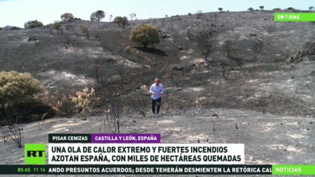 Una ola de calor extremo y fuertes incendios azotan España, con miles de hectáreas quemadas