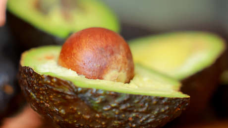 EE.UU. pone un freno a las exportaciones de aguacate desde México por esta razón
