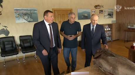 Putin llega a las islas Kuriles y visita una fábrica (VIDEOS)