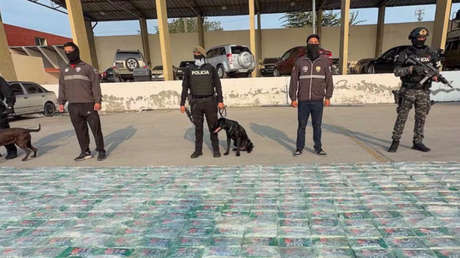 VIDEO: Perros de la Policía detectan droga en cargamento de bananas