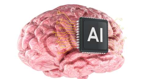 Desarrollan un centro de datos biológico impulsado por neuronas humanas vivas