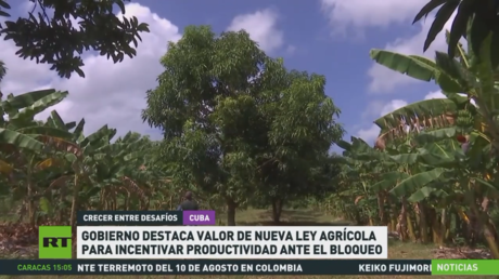 Gobierno de Cuba destaca valor de nueva ley agrícola para incentivar productividad ante el bloqueo