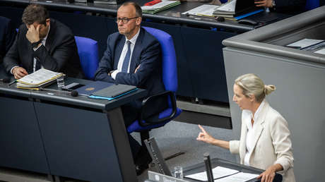 AfD presenta denuncia penal contra Merz