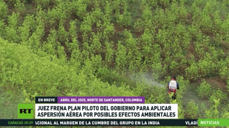 Juez colombiano frena plan piloto antidroga del Gobierno por posibles efectos ambientales