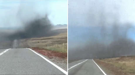 No es humo: una gigantesca nube de moscos cubre una carretera en Siberia (VIDEO)